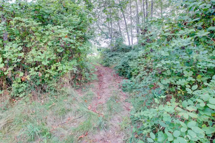 Access to the campsite