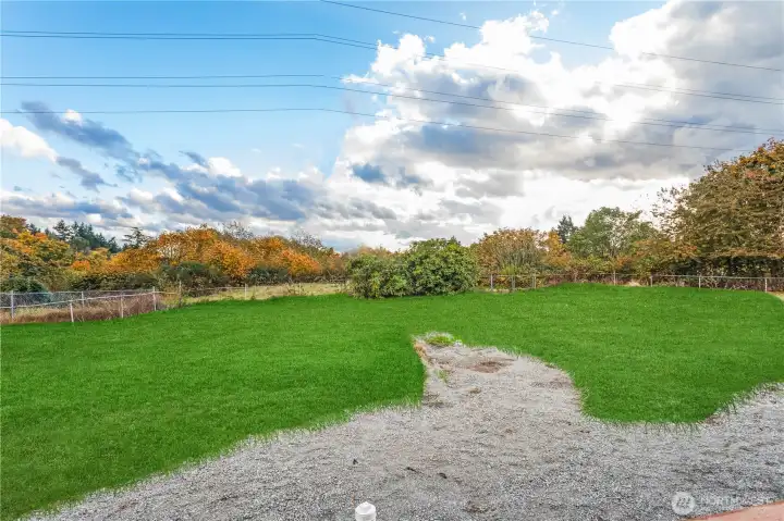 Backyard, photo edited to show potential with lawn