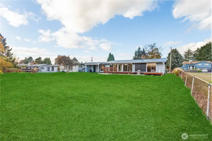 Back yard area (photo edited for yarr potential