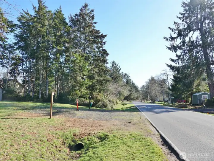 South view of Duck Lake Dr SE (lot is on the left).