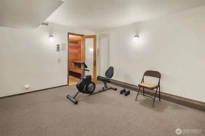 Recreation room featuring gym equipment and sauna.