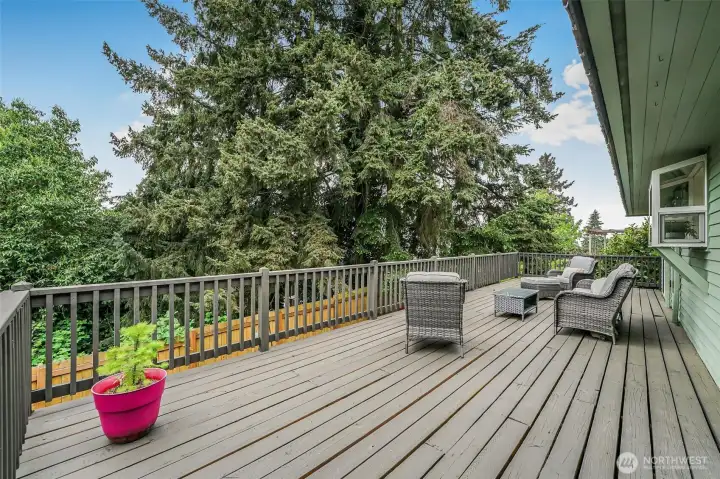 perched on top of the hill surrounded by trees