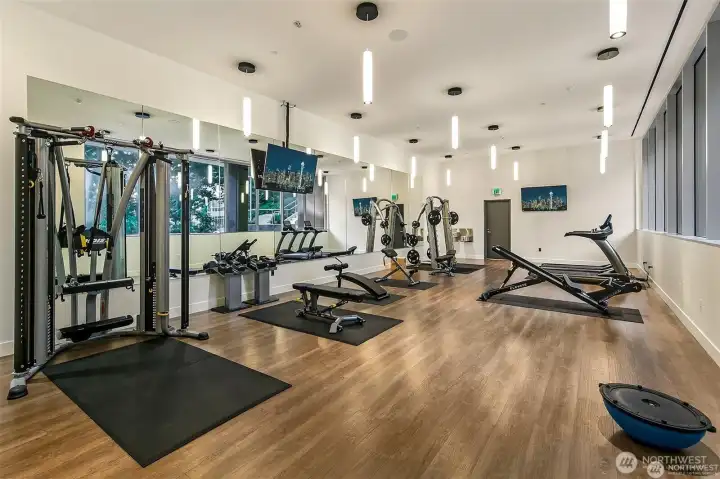 fitness