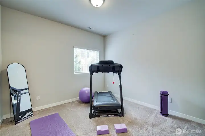 Lower level flexible space as either bedroom, office or work out area.