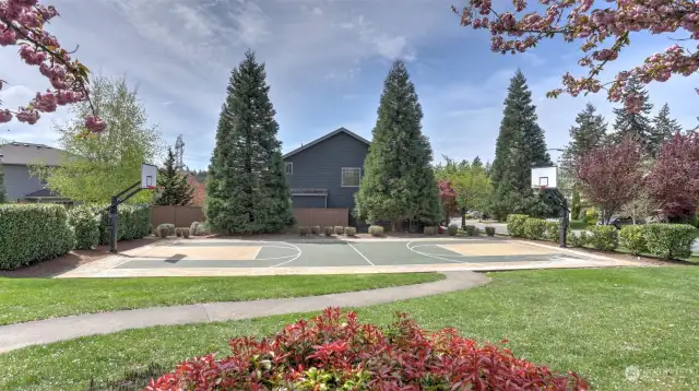 Community basketball court.