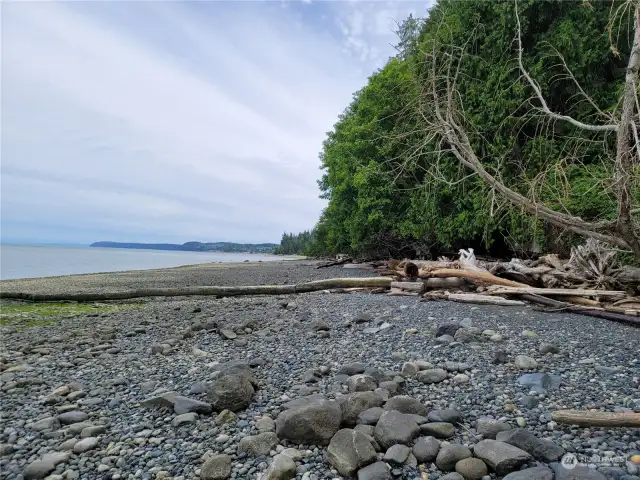 A view of the water frontage looking south.