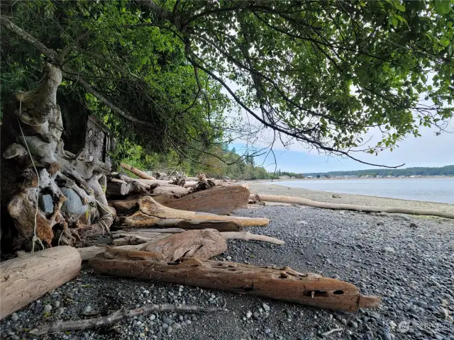 A View of the beach where path from stairs comes out.  Sellers shed above the logs in treeline.  Driftwood shores homes in the background.