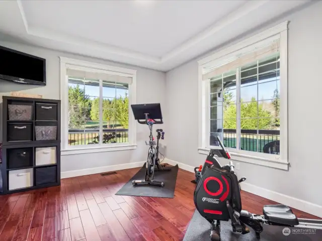 Additional flex room; ideal for a home gym or formal dining room (located next to the walk-thru butlers pantry). The possibilities are endless.