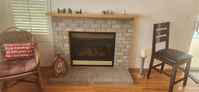 Cozy gas Fireplace!