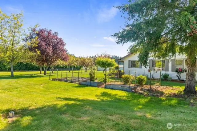Gardens and fruit trees dot the landscape.