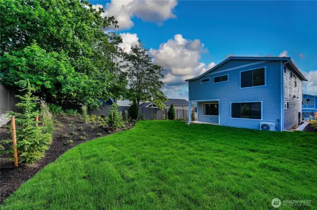 Expansive backyard!