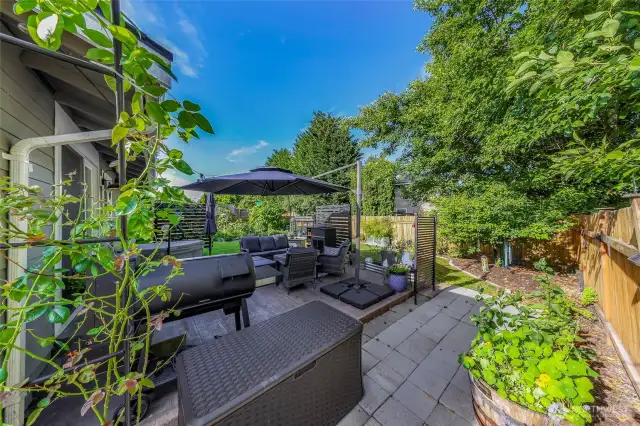 Picture from the side yard area