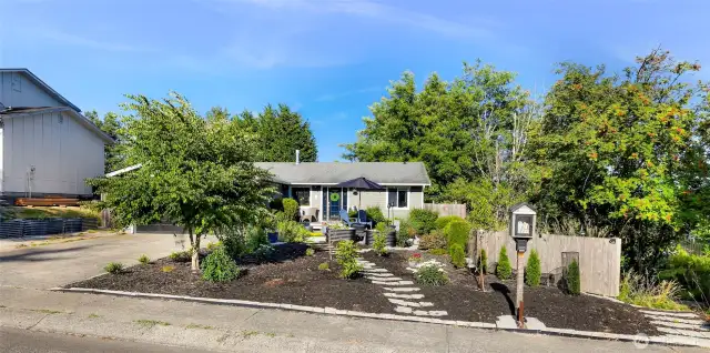 View of the front yard