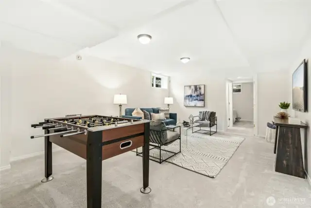 Lower level large Bonus Room