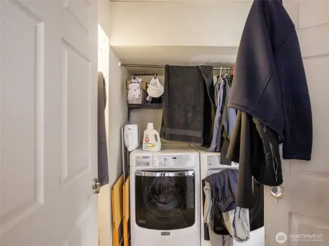 Downstairs laundry