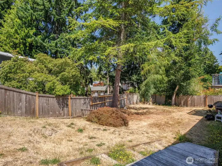 Side yard