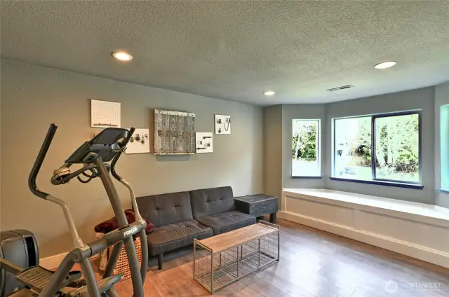 Lower-level family room