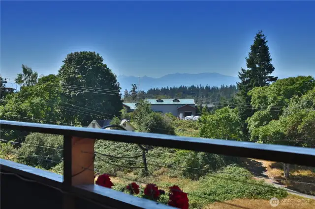 Views of the Olympic Mountains