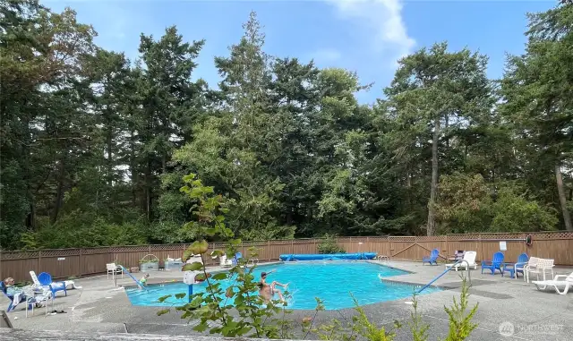 Community Pool