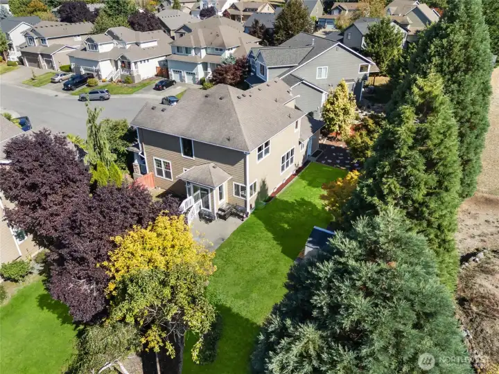 Enjoy ultimate privacy on this large, lot with mature trees and plenty of space for outdoor living. * The Grass has been digitally enhanced for marketing purposes.