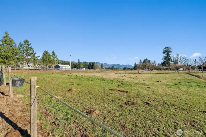 Weed & seed used yearly for great pasture grass.
