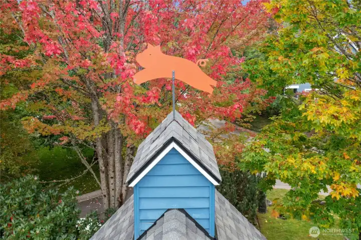 The signature weathervanes on top of each Hillandale home bring a playful touch to this welcoming neighborhood.