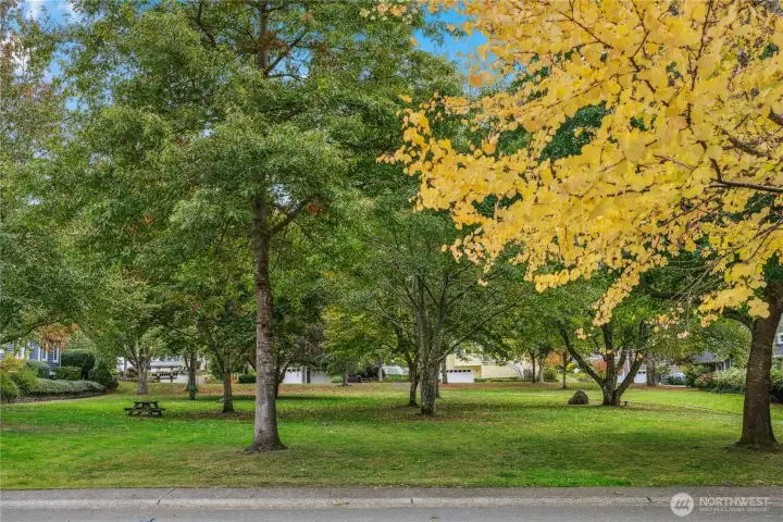 Beautifully anchoring the Hillandale neighborhood, this peaceful treed park will welcome you and your visitors.