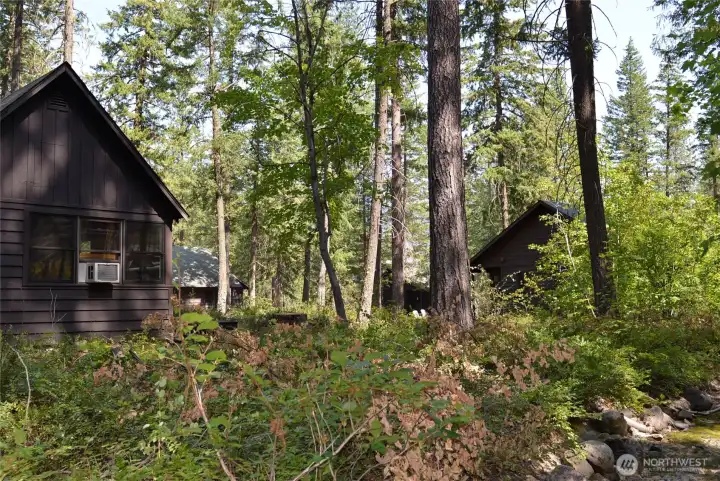 Lush forest surroundings
