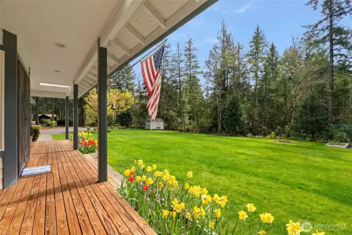 View from Back Porch