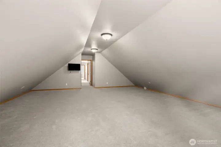 Large Bonus Room