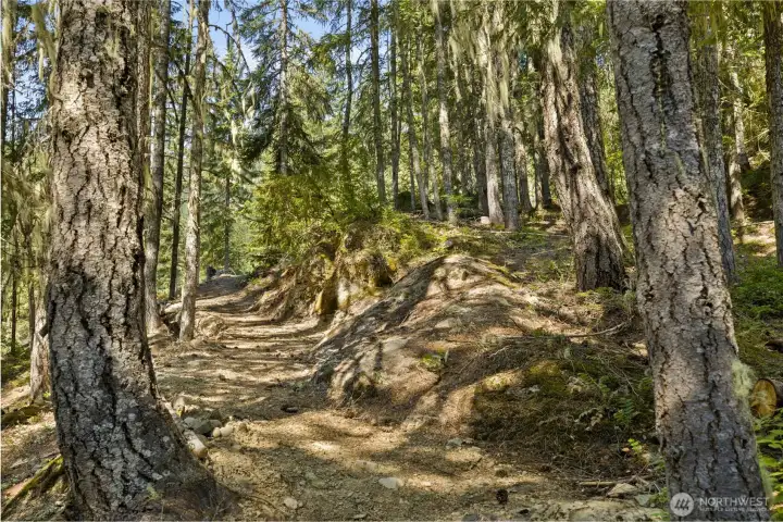 Nest to the cabin is a great trail that takes you up to a stunning look out.