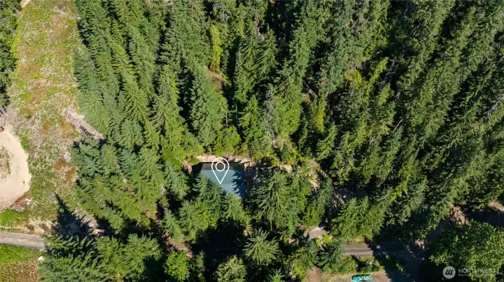 Surrounded by evergreen and mature timber makes this cabin an amazing get a way.