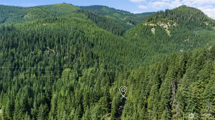 Areal view of cabins location in the trees.