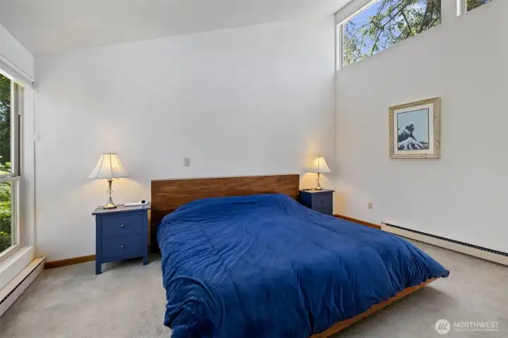 Primary Suite with souring ceilings