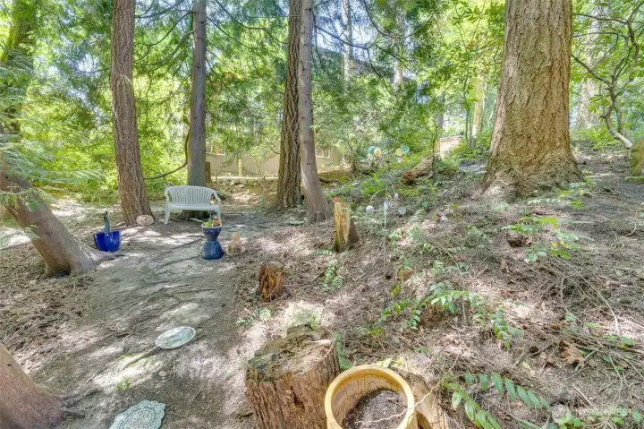 Tranquil backyard.
