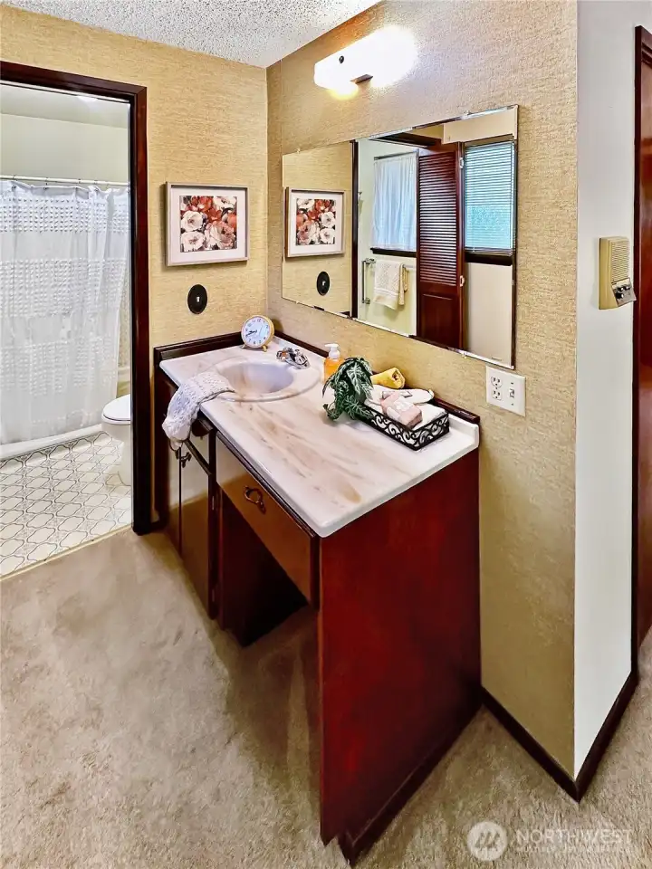 View of the Primary bath vanity.