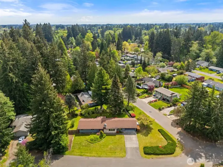 Aerial view of the lot and neighborhood.
