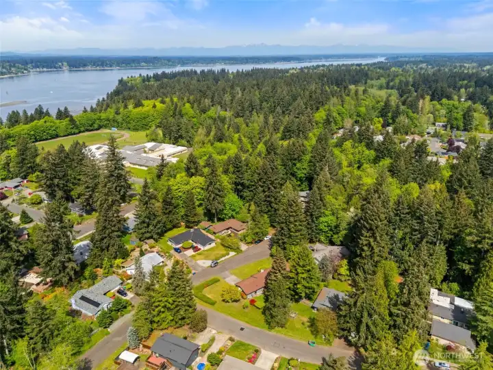 Another aerial view.  In this photo you can see the middle school and Budd Inlet which is just minutes away.