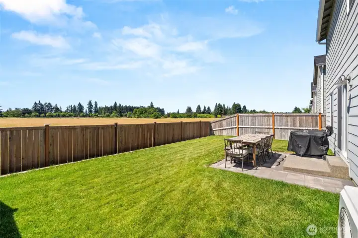 Fully fenced back yard Fully fenced back yard
