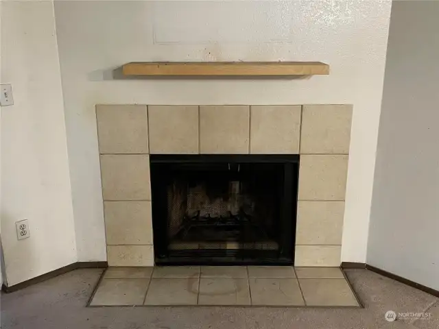 Wood Fireplace