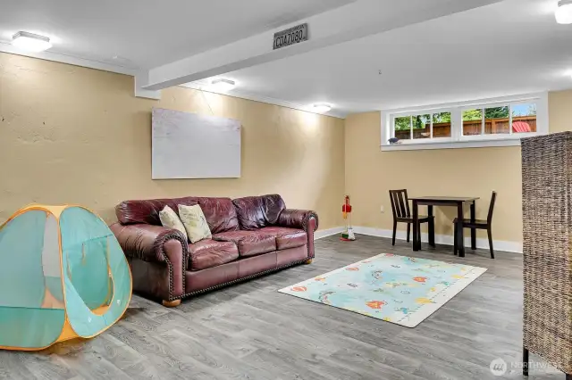 Lower level den/playroom.