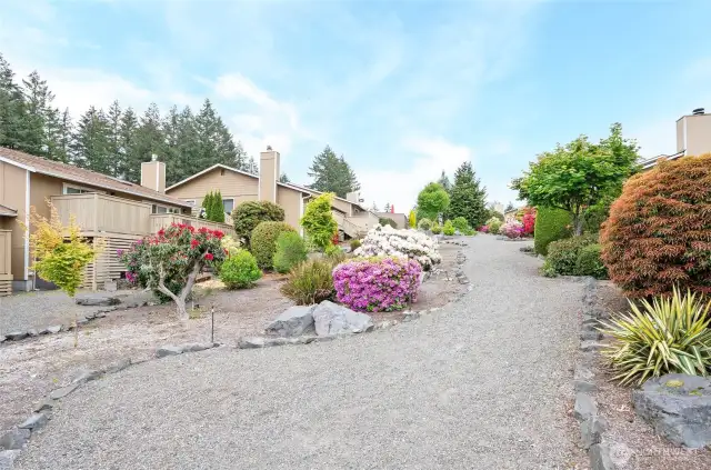 Take a stroll around the community thru walking trails.