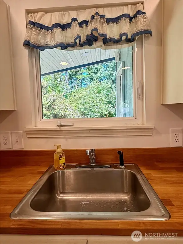 Watch nature from your kitchen window!