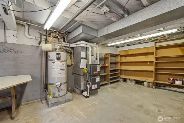Basement houses a new high-efficiency furnace, hot water tank, and new electrical panel