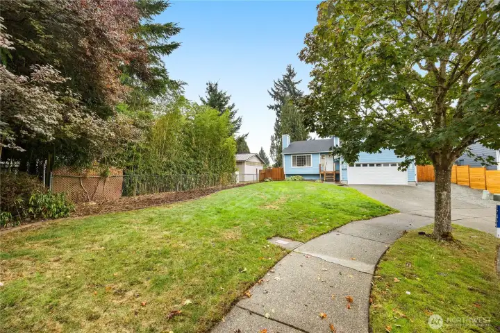 Spacious Front yard