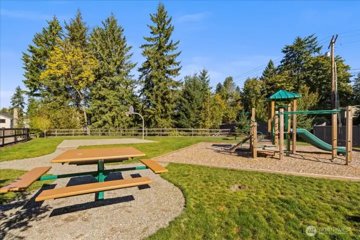 Plenty of Room to Run and Play Outdoors!