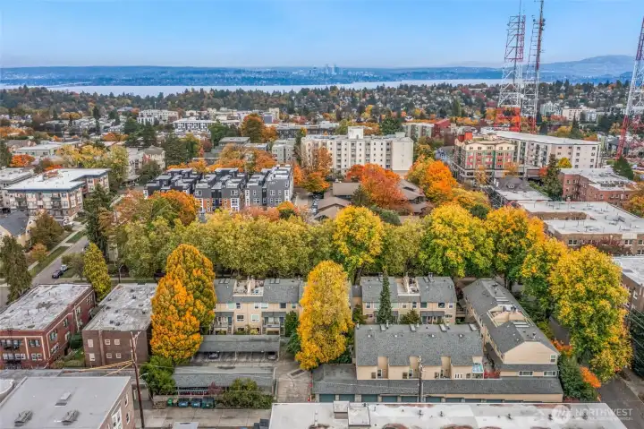 Hidden behind the tree lined streets on the eastern side of Capitol Hill.