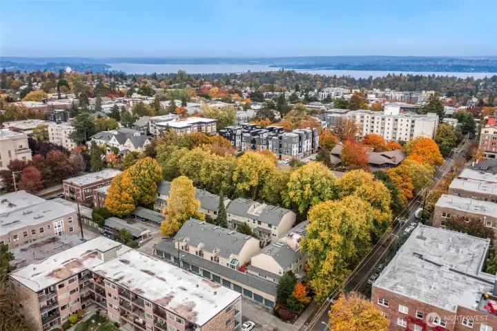 Hidden behind the tree lined streets on the eastern side of Capitol Hill.