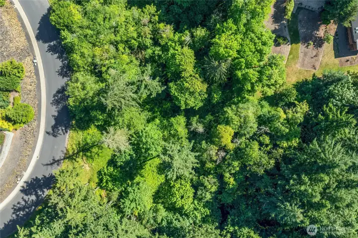 Utilities in the street