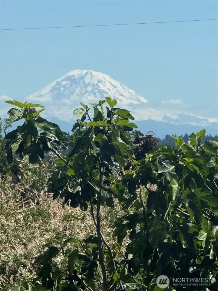 Mt. Rainier view from stairs off kitchen.